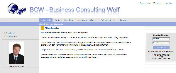Business-Consulting-Wolf